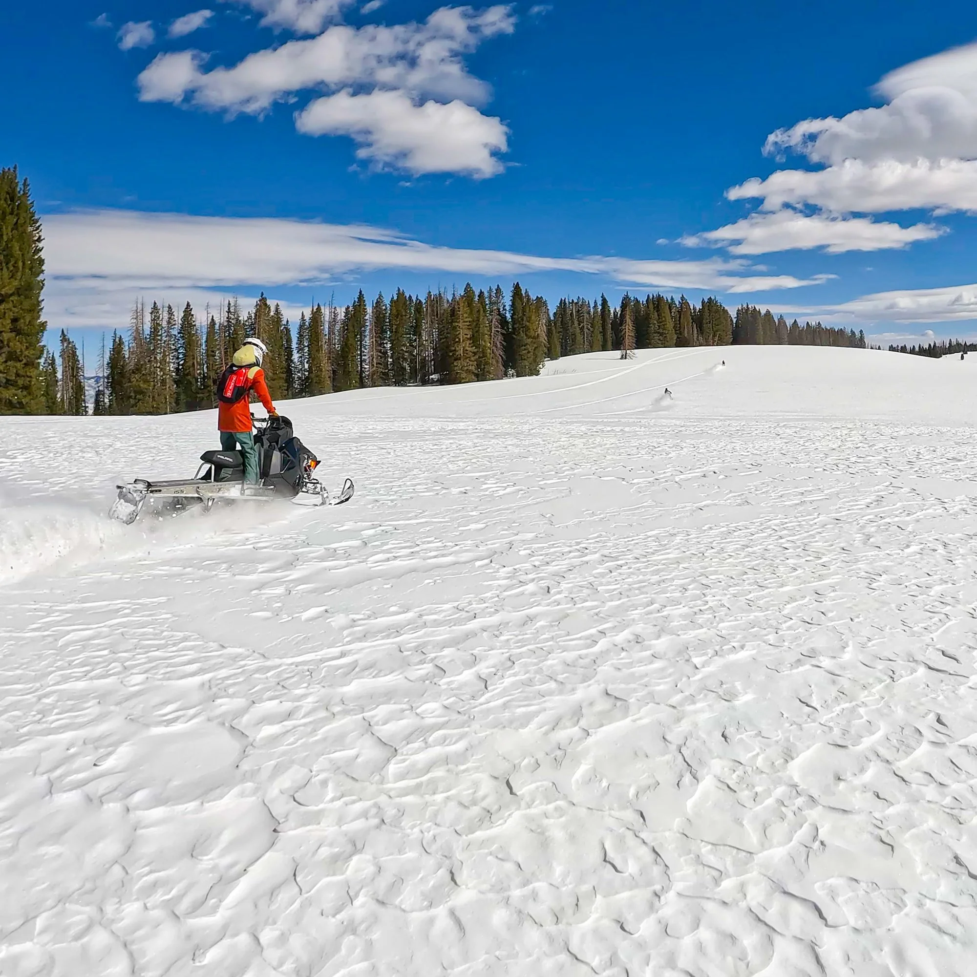 スノーボード towsey Snowmobile/ATV — TowWhee - Bungee Tow Strap Bike Trailer and